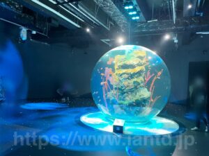 アトア神戸水族館は予約なしの当日券でも入場可能 チケット割引前売りや予約方法は