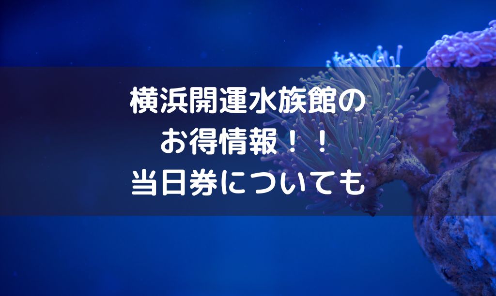 横浜開運水族館の当日券は買える？お得なクーポン割引で前売り券をゲットする方法